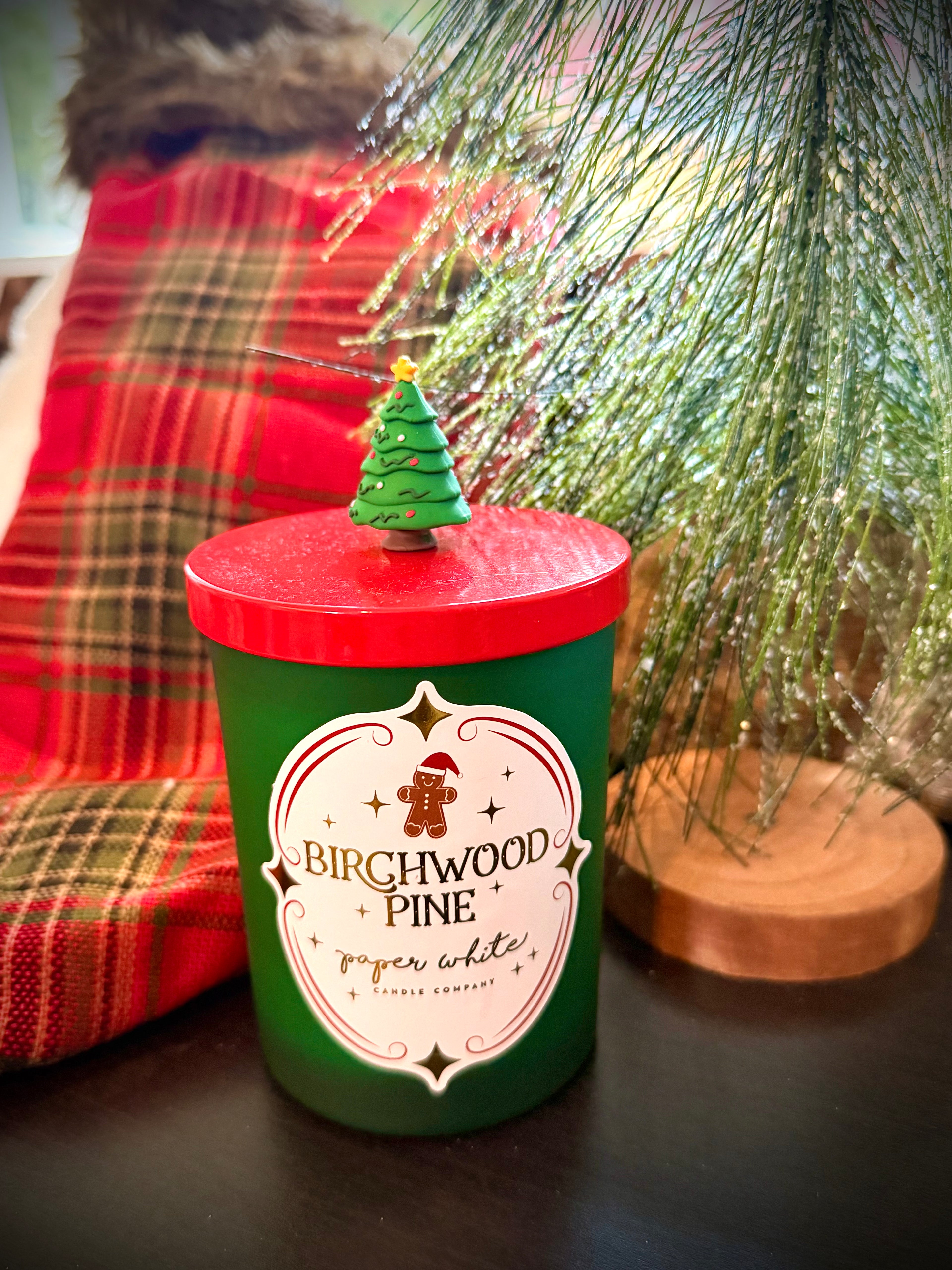 Holiday Candle – Birchwood Pine (8oz)