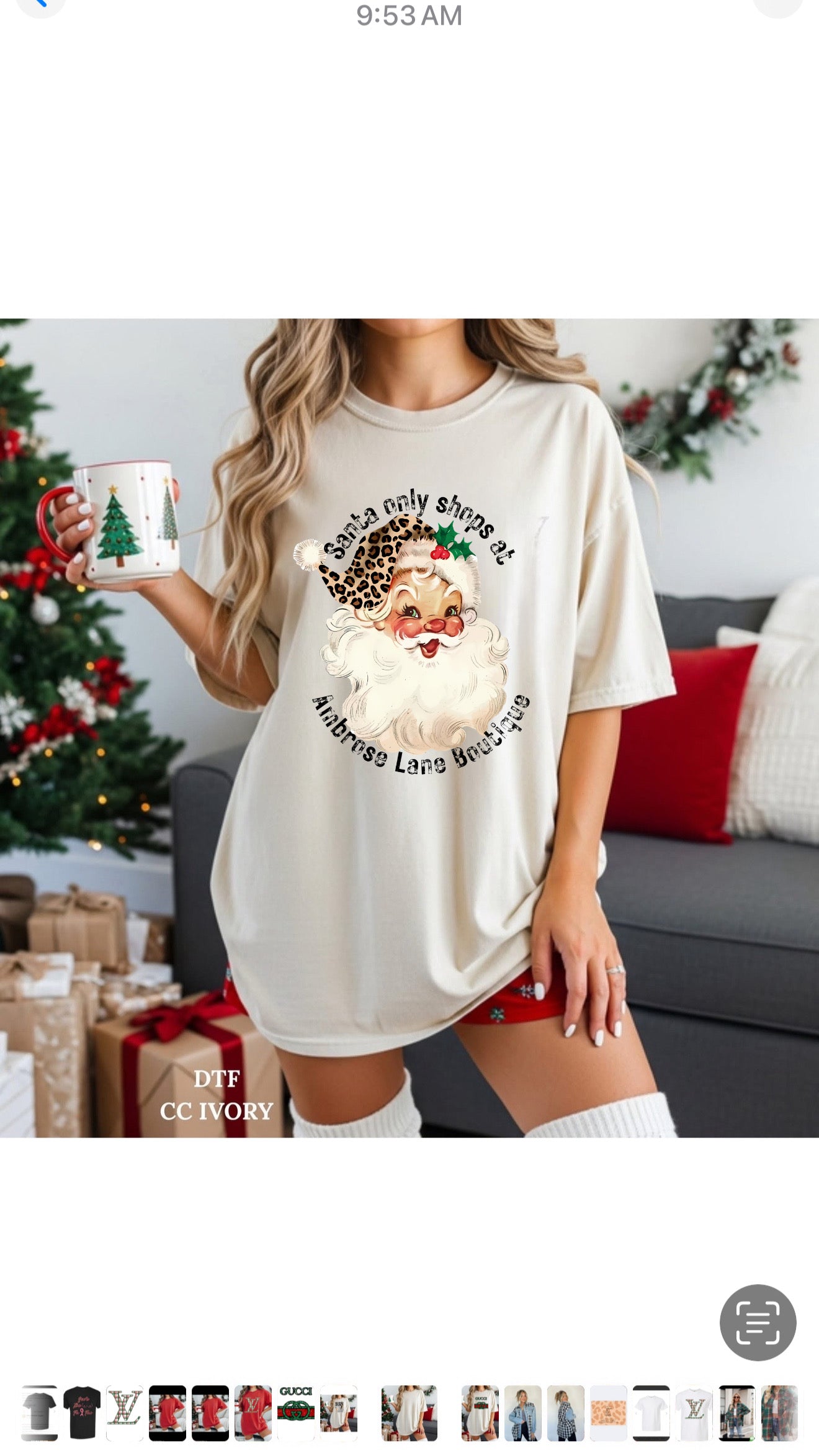 Santa Only Shops at ALB