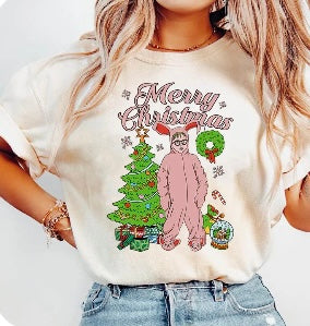 Merry Christmas The Christmas Story